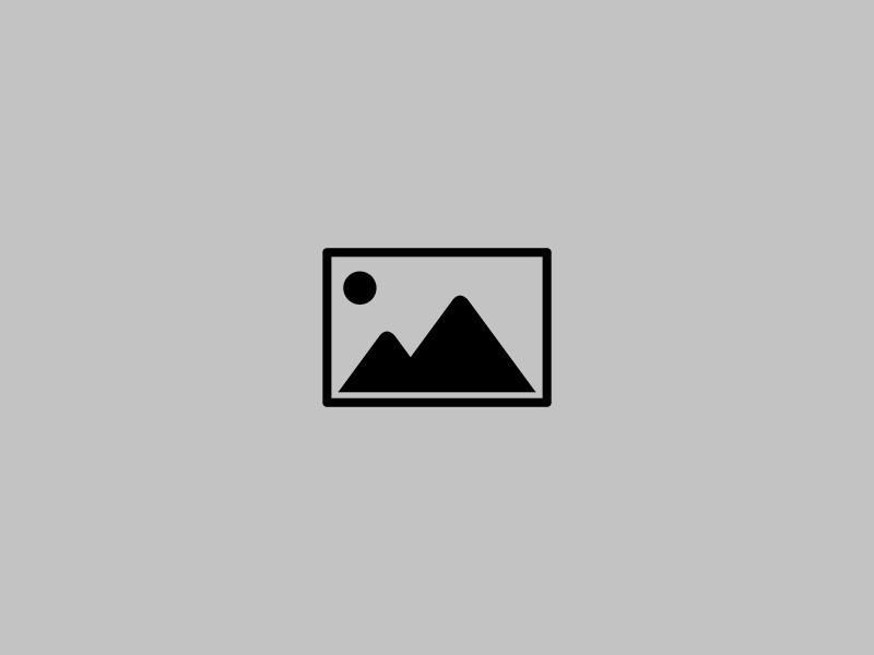 KEA SURVEYOR 2026